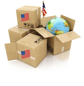 Istock 2203252324 Credit Terminator3d W Flag